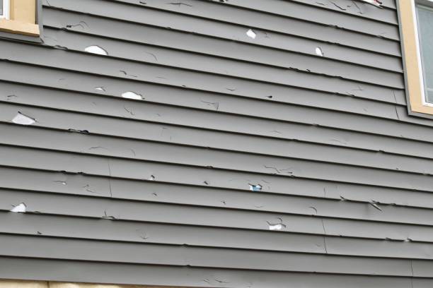 How To Choose The Right Materials for Your Siding Installation in 'Carson, CA